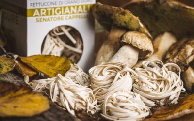 Fettuccine Senatore Cappelli ai Funghi Porcini