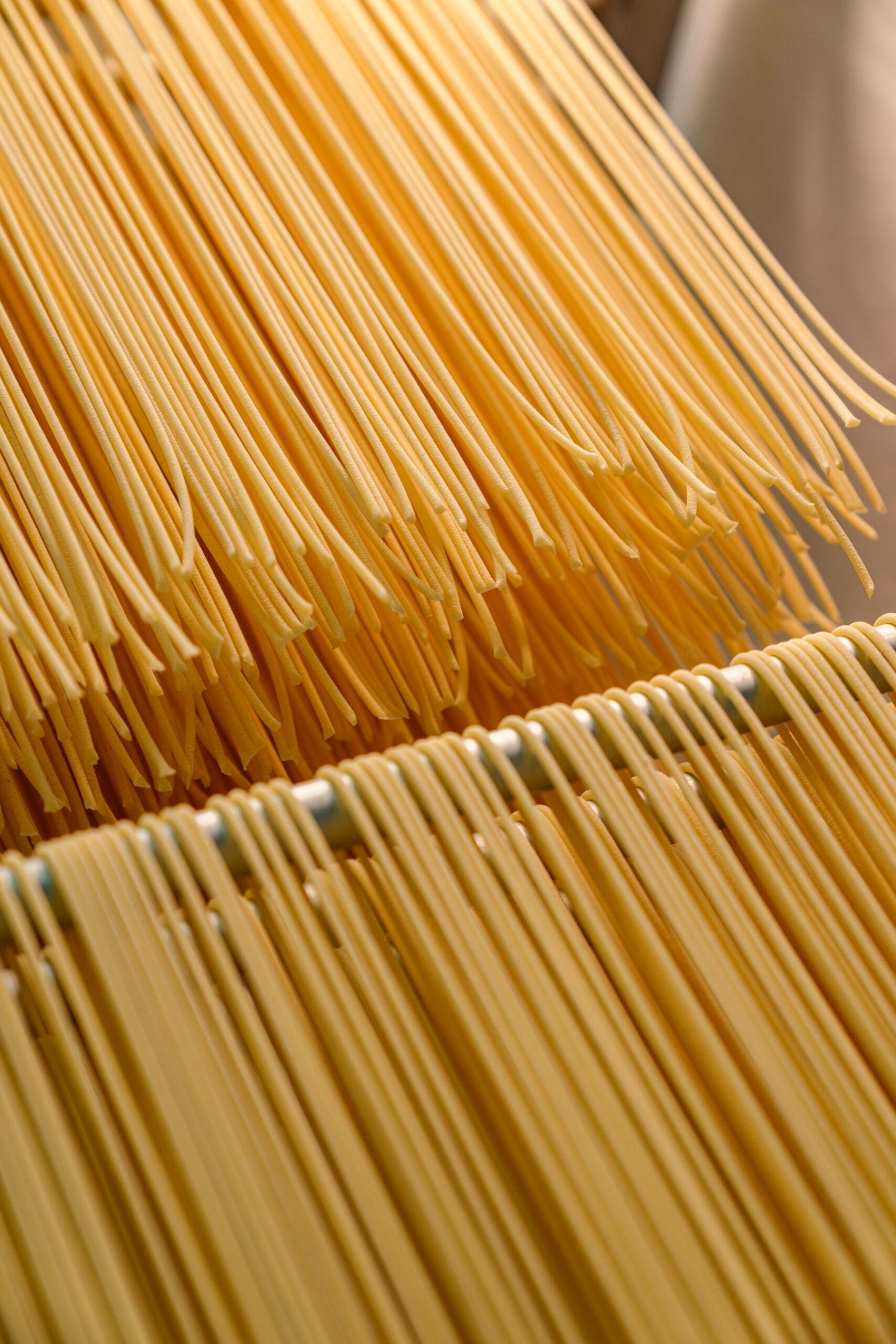 fiorini-spaghetti-060325-104271 Fettuccine tra le mani del produttore